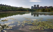 合肥市大蜀山森林公園南湖：綜合治理，再現(xiàn)美麗湖景