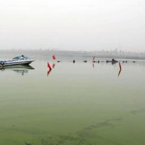 污水排放总氮不达标怎么处理