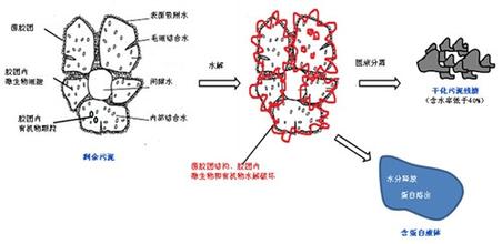 微生物蛋白提取技術