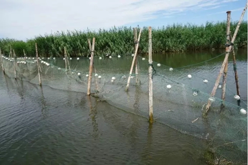 烏梁素海生態(tài)環(huán)境形勢(shì)仍不樂(lè)觀 綜合治理規(guī)劃不嚴(yán)不實(shí)