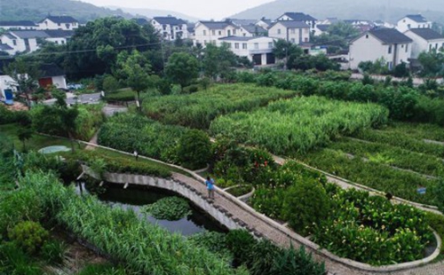 蘇州積極推進農村生活污水治理