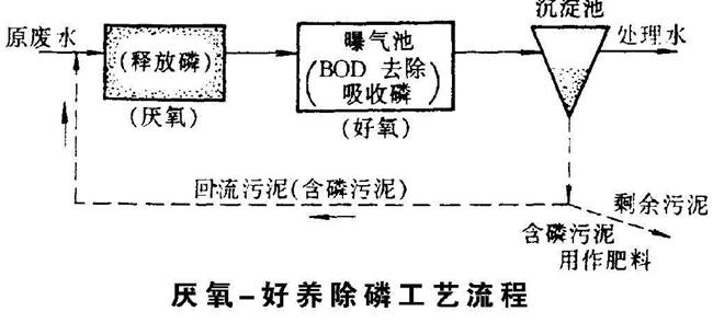 生物除磷的主要影响因子