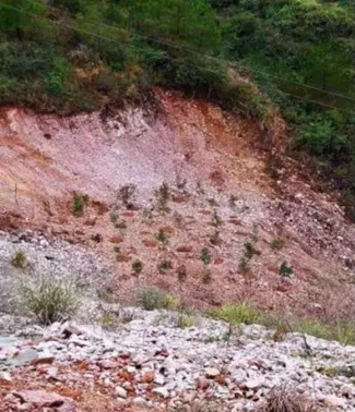 9月暗查发现永鑫公司厂区外林木受污染大量死亡